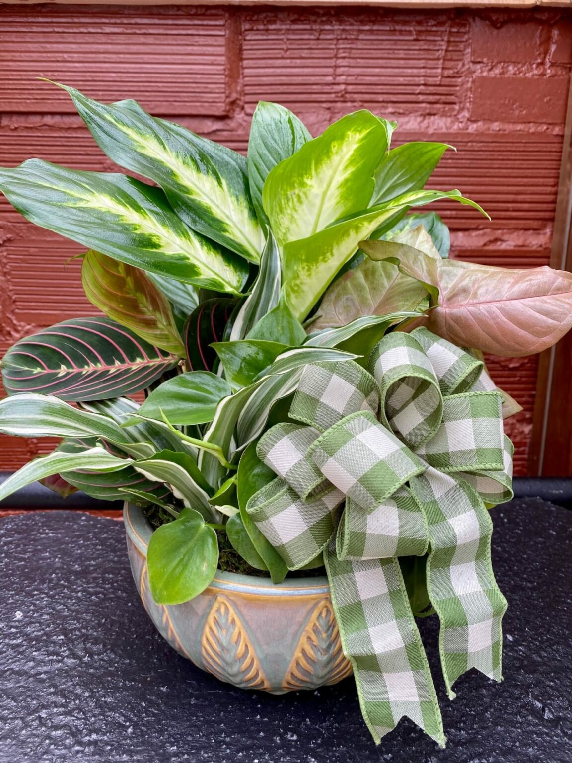 8" Dish Garden Trimble Funeral Homes