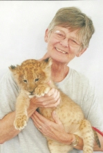 patricia dorsey