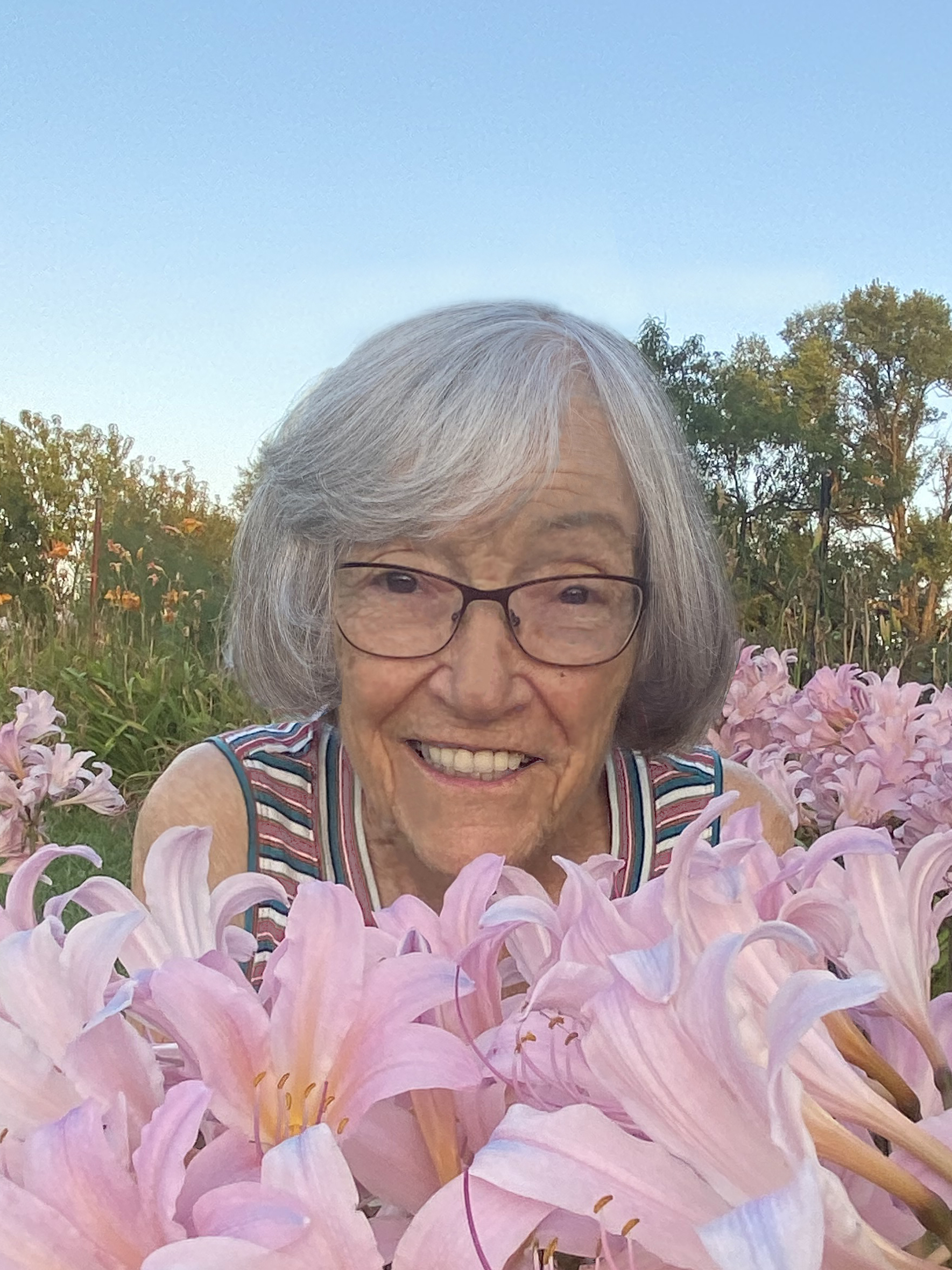 helen laughlin